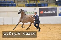 25R1516_02240 thumbnail