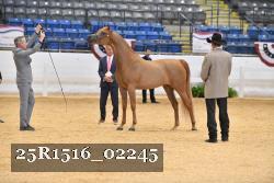 25R1516_02245 thumbnail