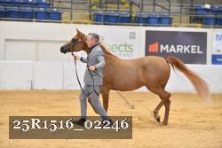 25R1516_02246 thumbnail