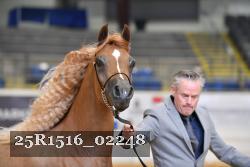 25R1516_02248 thumbnail