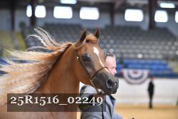 25R1516_02249 thumbnail