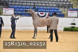 25R1516_02252 thumbnail