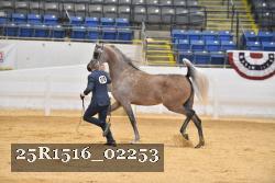 25R1516_02253 thumbnail