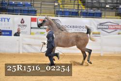 25R1516_02254 thumbnail