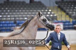 25R1516_02255 thumbnail