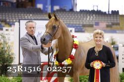 25R1516_02257 thumbnail