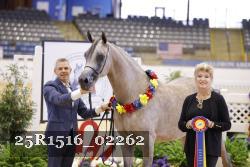 25R1516_02262 thumbnail