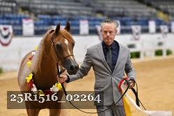 25R1516_02264 thumbnail
