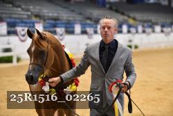 25R1516_02265 thumbnail