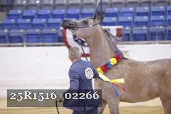 25R1516_02266 thumbnail