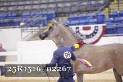 25R1516_02267 thumbnail