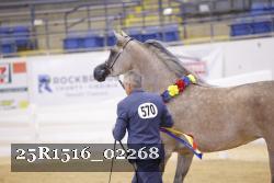 25R1516_02268 thumbnail