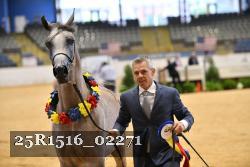 25R1516_02271 thumbnail