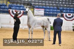 25R1516_02272 thumbnail