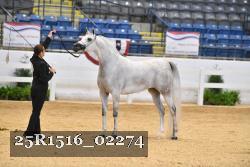 25R1516_02274 thumbnail
