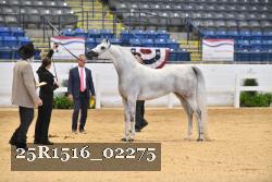 25R1516_02275 thumbnail