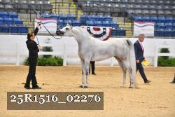 25R1516_02276 thumbnail