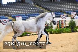 25R1516_02277 thumbnail