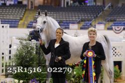 25R1516_02279 thumbnail