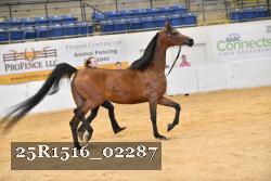 25R1516_02287 thumbnail