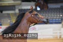 25R1516_02289 thumbnail