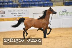 25R1516_02291 thumbnail
