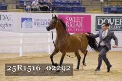 25R1516_02292 thumbnail