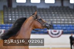 25R1516_02294 thumbnail