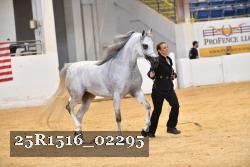 25R1516_02295 thumbnail