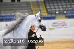 25R1516_02296 thumbnail