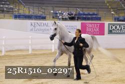 25R1516_02297 thumbnail
