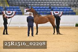 25R1516_02298 thumbnail