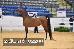 25R1516_02299 thumbnail