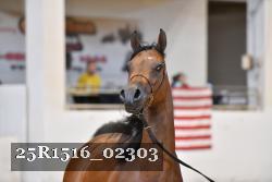 25R1516_02303 thumbnail