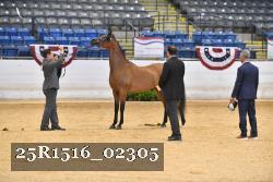 25R1516_02305 thumbnail