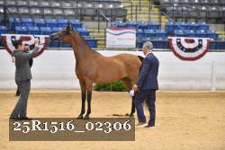 25R1516_02306 thumbnail