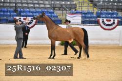 25R1516_02307 thumbnail