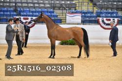 25R1516_02308 thumbnail