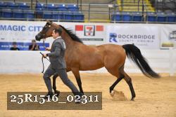 25R1516_02311 thumbnail