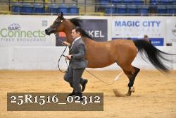 25R1516_02312 thumbnail
