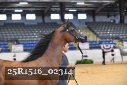 25R1516_02314 thumbnail