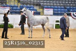 25R1516_02315 thumbnail