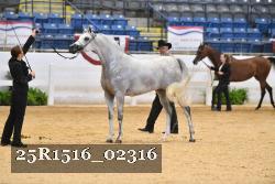 25R1516_02316 thumbnail