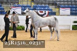 25R1516_02317 thumbnail