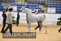 25R1516_02318 thumbnail