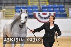 25R1516_02319 thumbnail