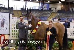 25R1516_02321 thumbnail
