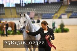 25R1516_02322 thumbnail
