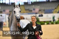 25R1516_02323 thumbnail