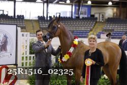 25R1516_02325 thumbnail